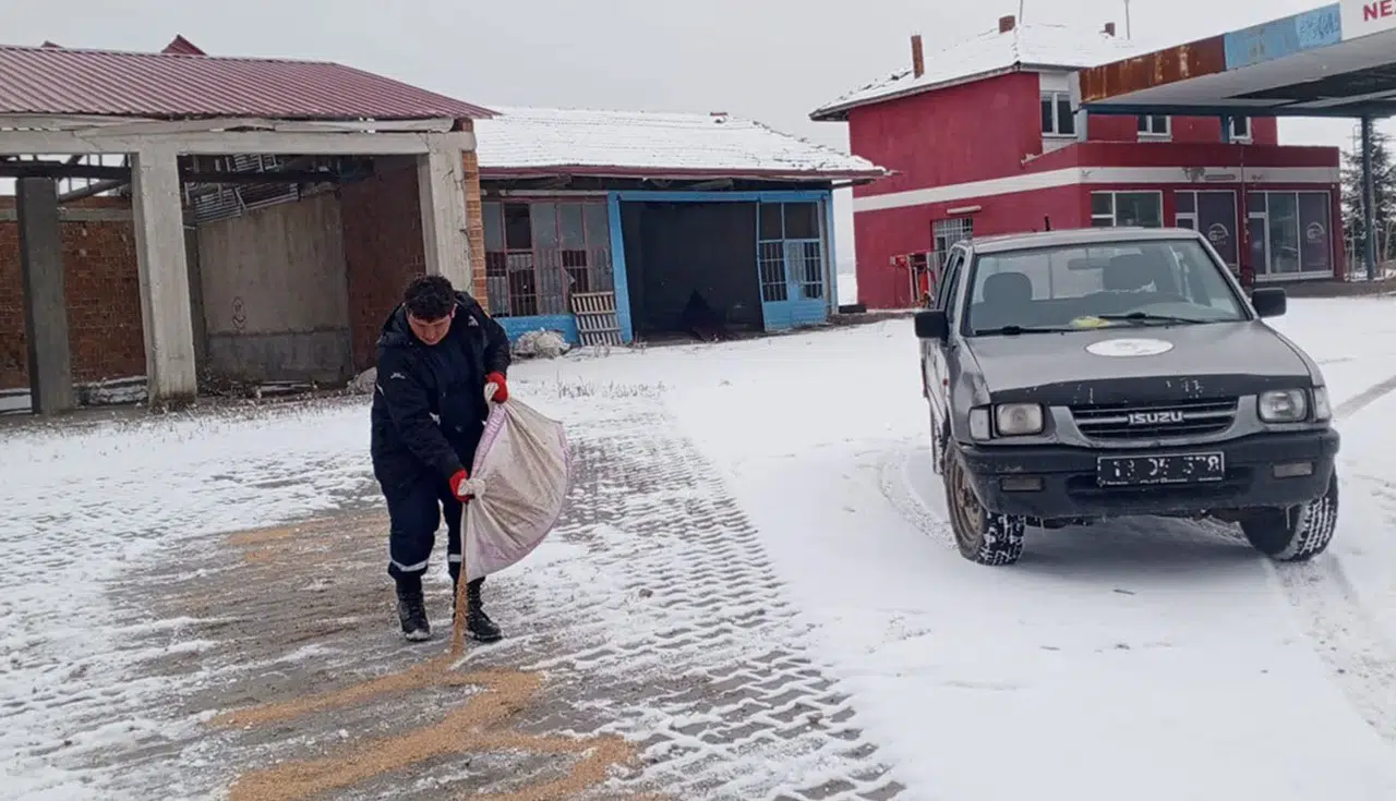 Sokak Hayvanlarına Şefkat Eli