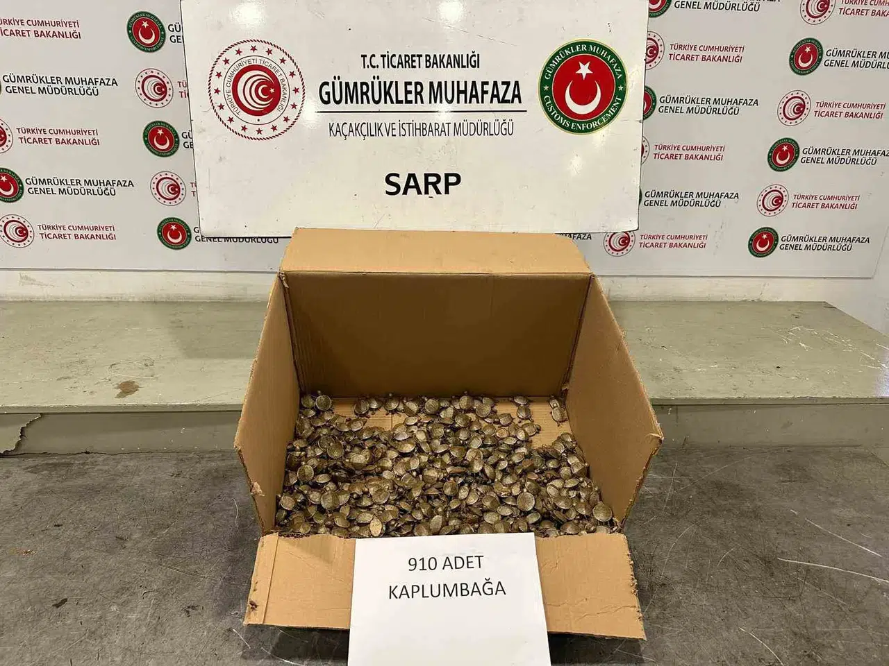 Ticaret Bakanlığı Gümrükler Muhafaza Ekiplerinden "Su Kaplumbağası" Operasyonu