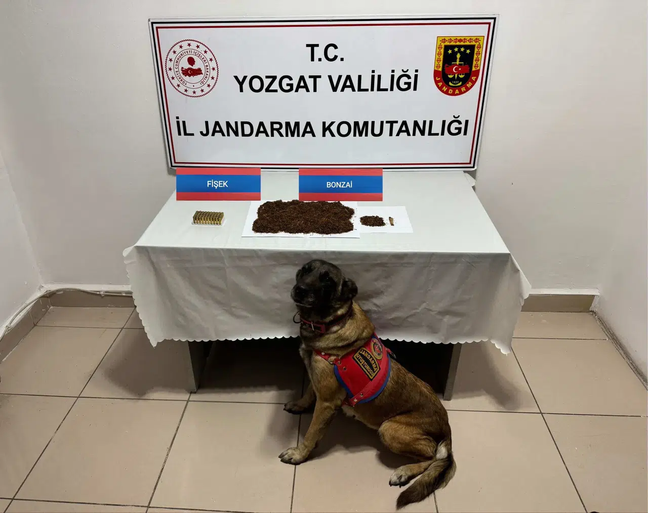 Uyuşturucu Kuryesi Gözaltında