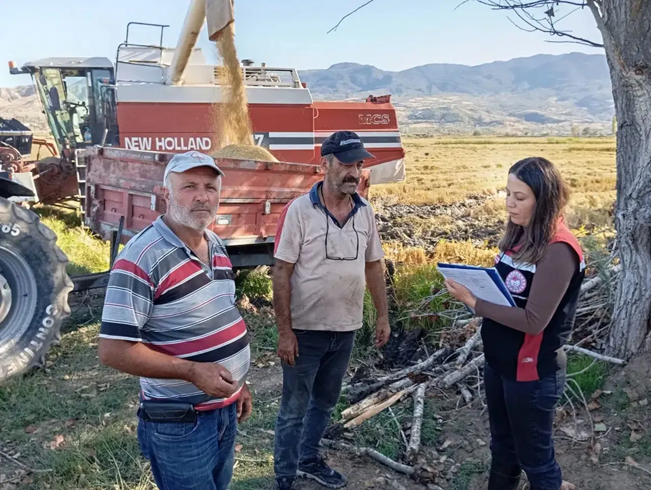Laçin’de Çeltik Hasadı Heyecanı Başladı