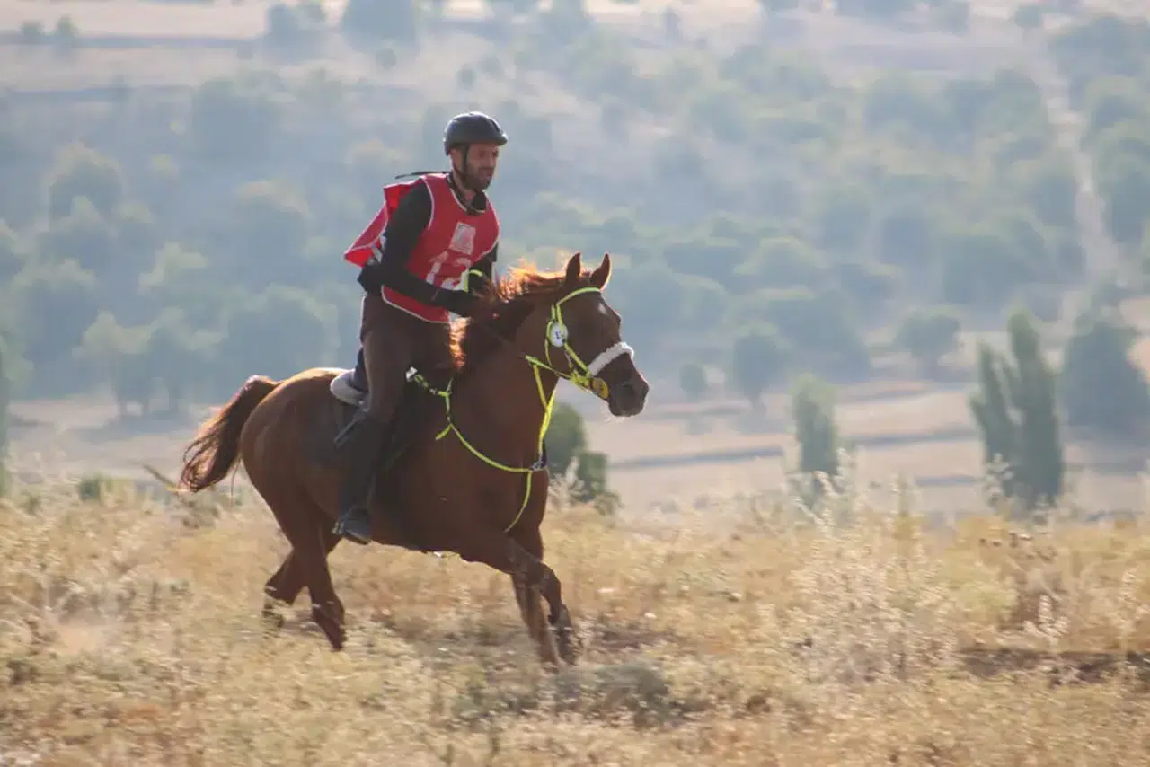 Ulusal Atlı Dayanıklılık Yarışmaları Bu Hafta Sonu