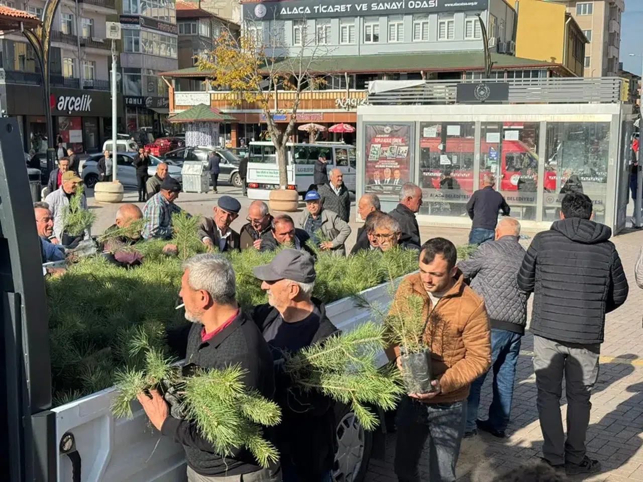 Alaca Belediyesi Fidan Dağıttı