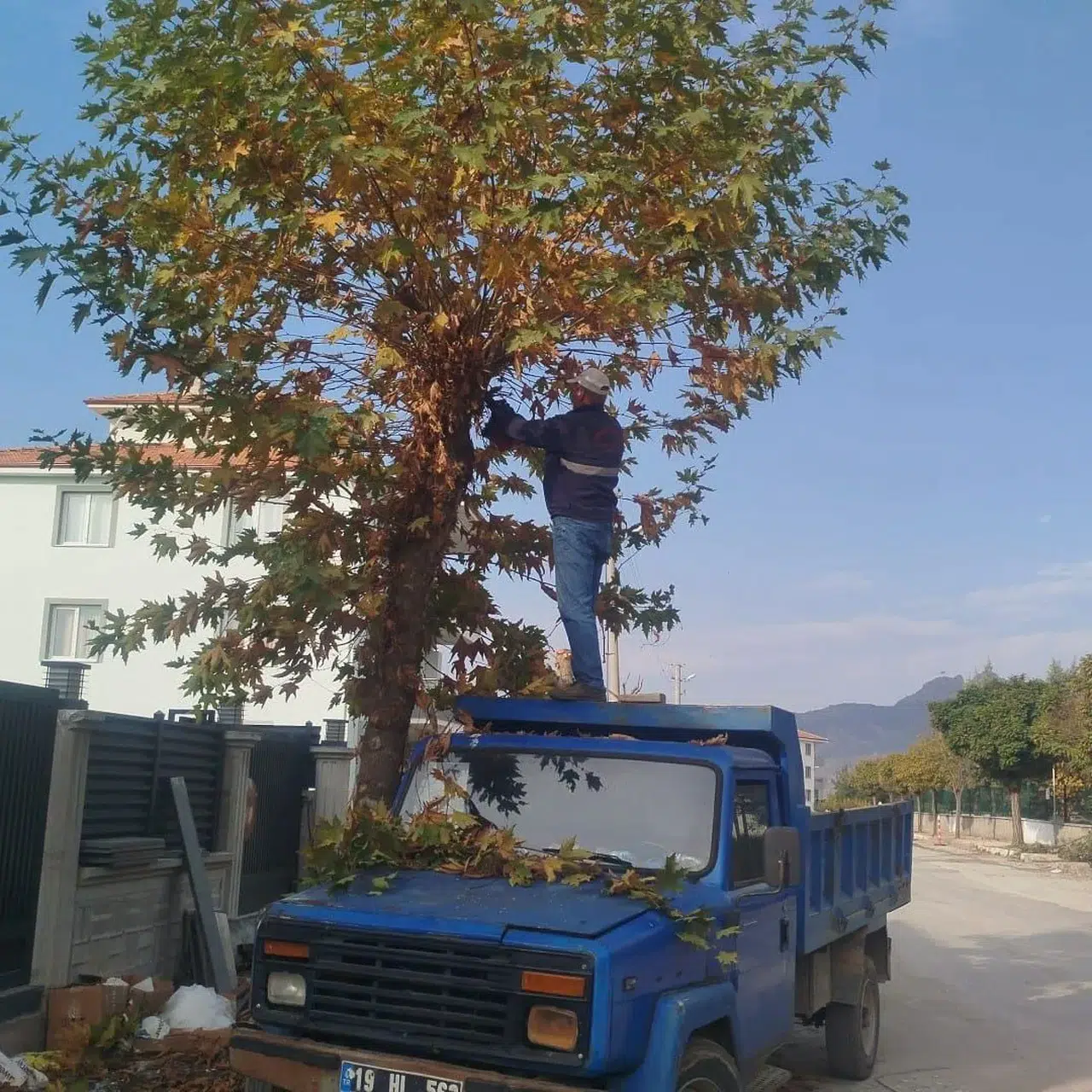 Osmancık'ta Park ve Caddelerde Düzenleme Çalışması