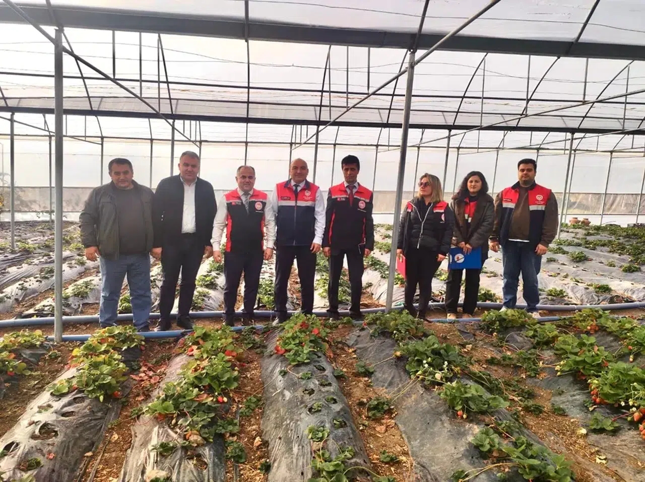 Organik Tarım İçin Sahadalar