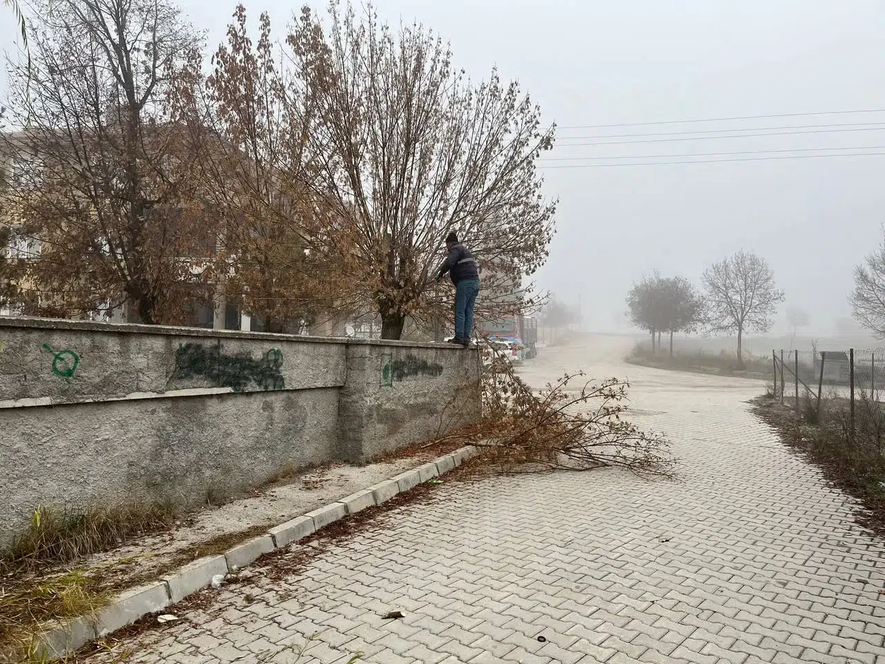 Osmancık’ta Kış Öncesi Park ve Bahçe Bakımı