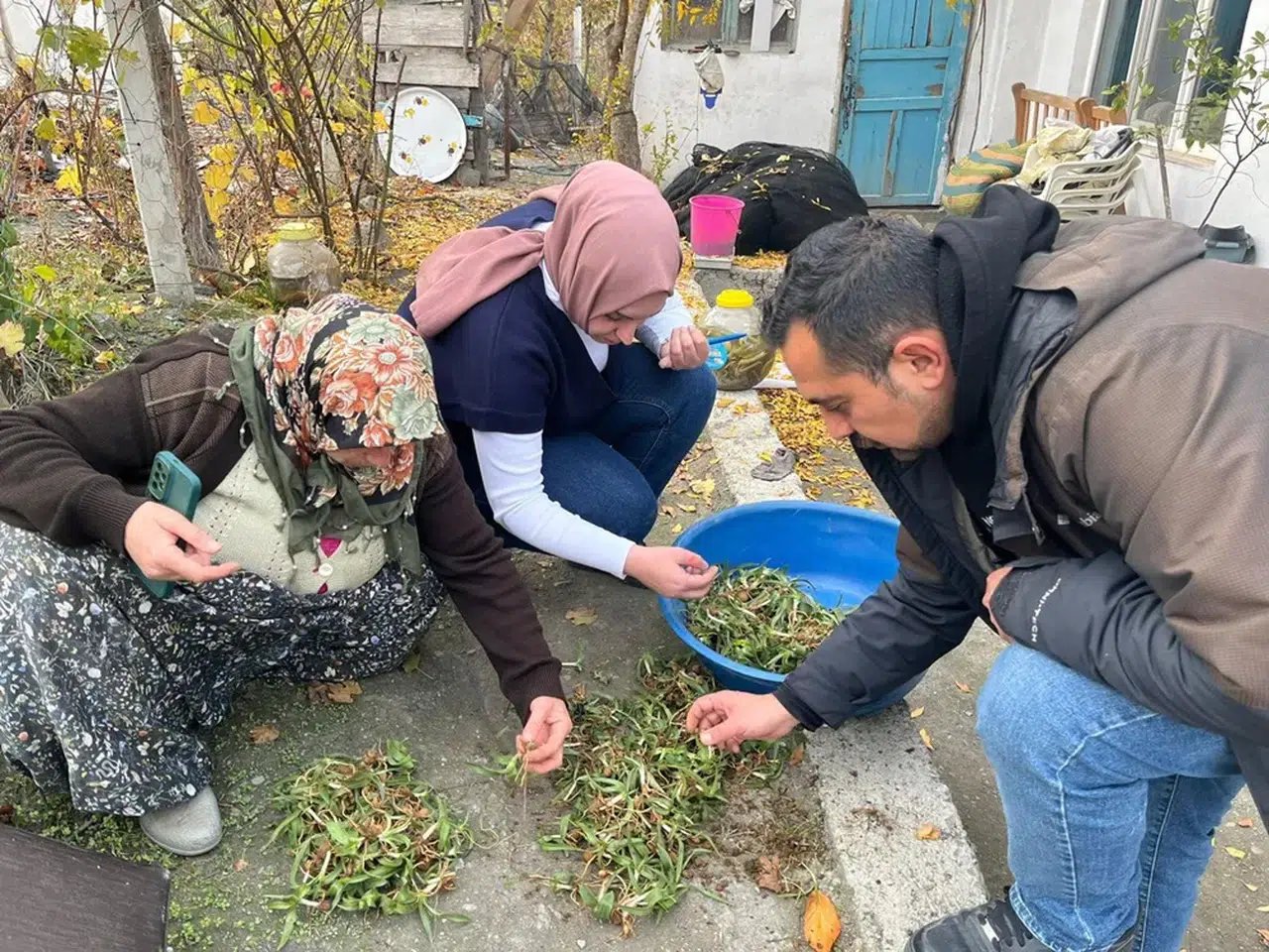 Kargı’da Salep Mesaisi