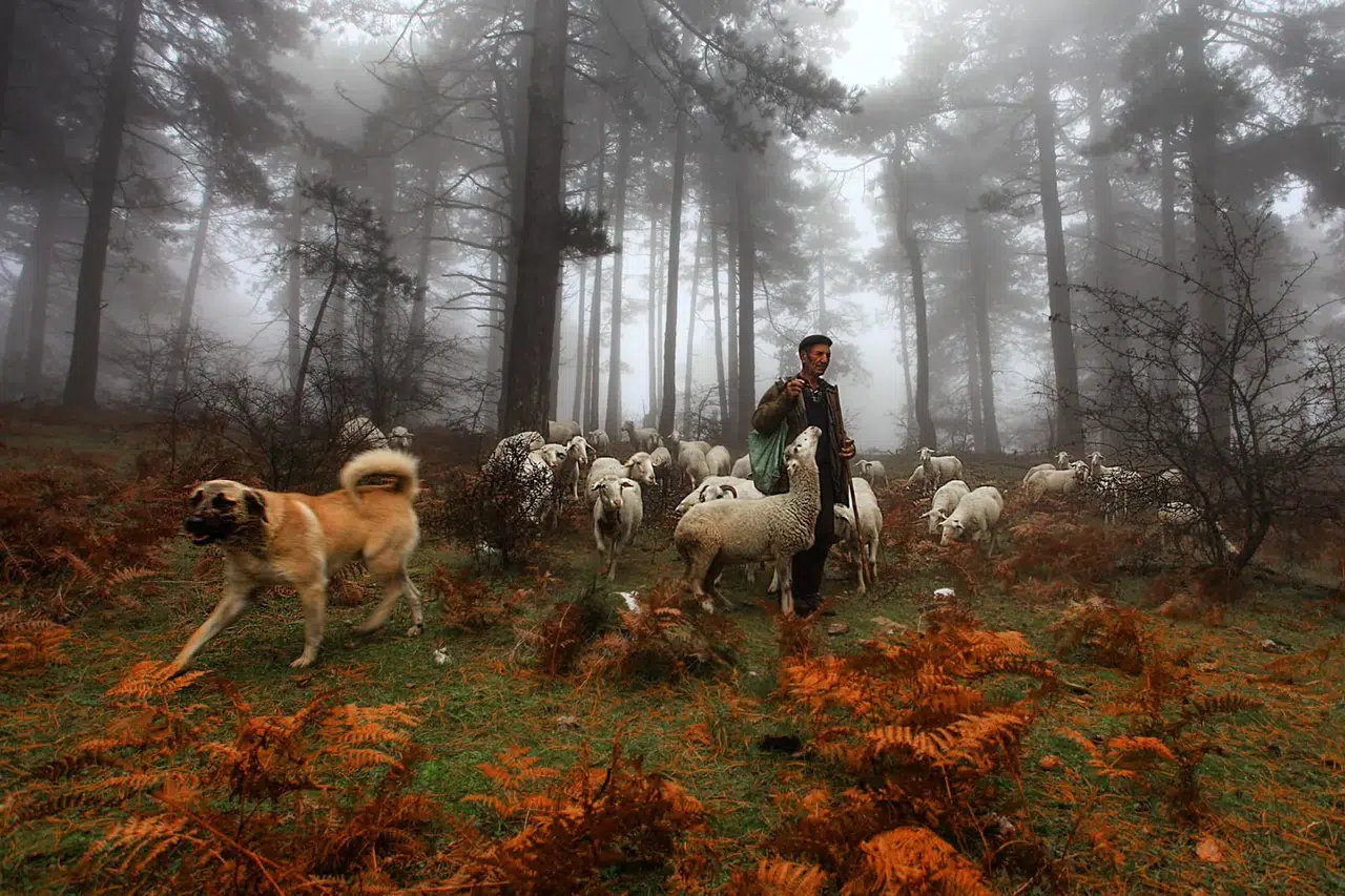 Fotoğraf Yarışması İçin Başvurular Başladı