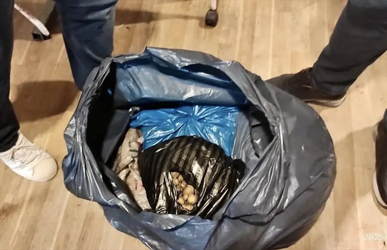 Sinop'ta izinsiz yabani orkide satışına ilişkin idari işlem