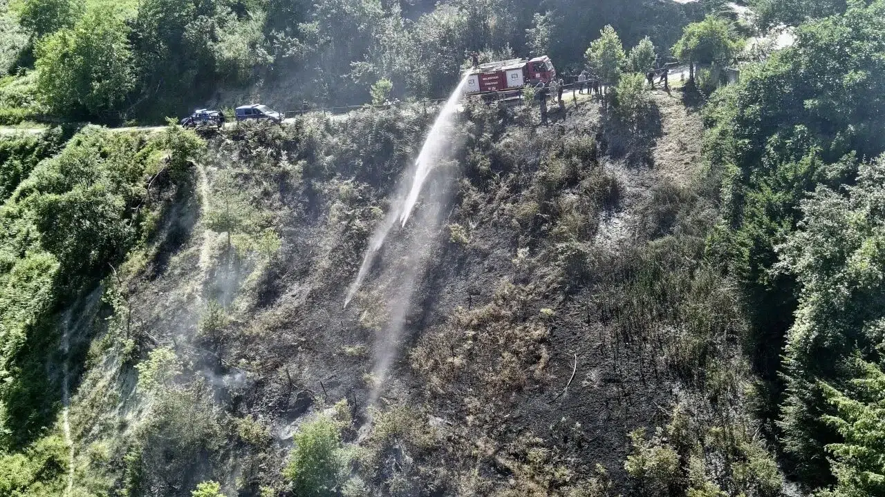 Türkeli'de makilik alanda çıkan yangın söndürüldü