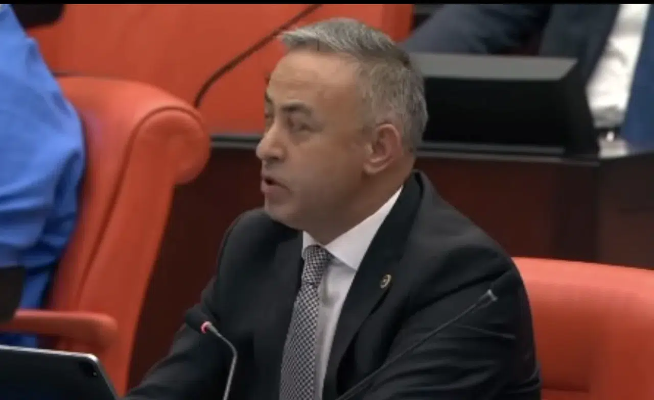 Tahtasız: Yapmayın Diyelim, Belki Yaparsınız