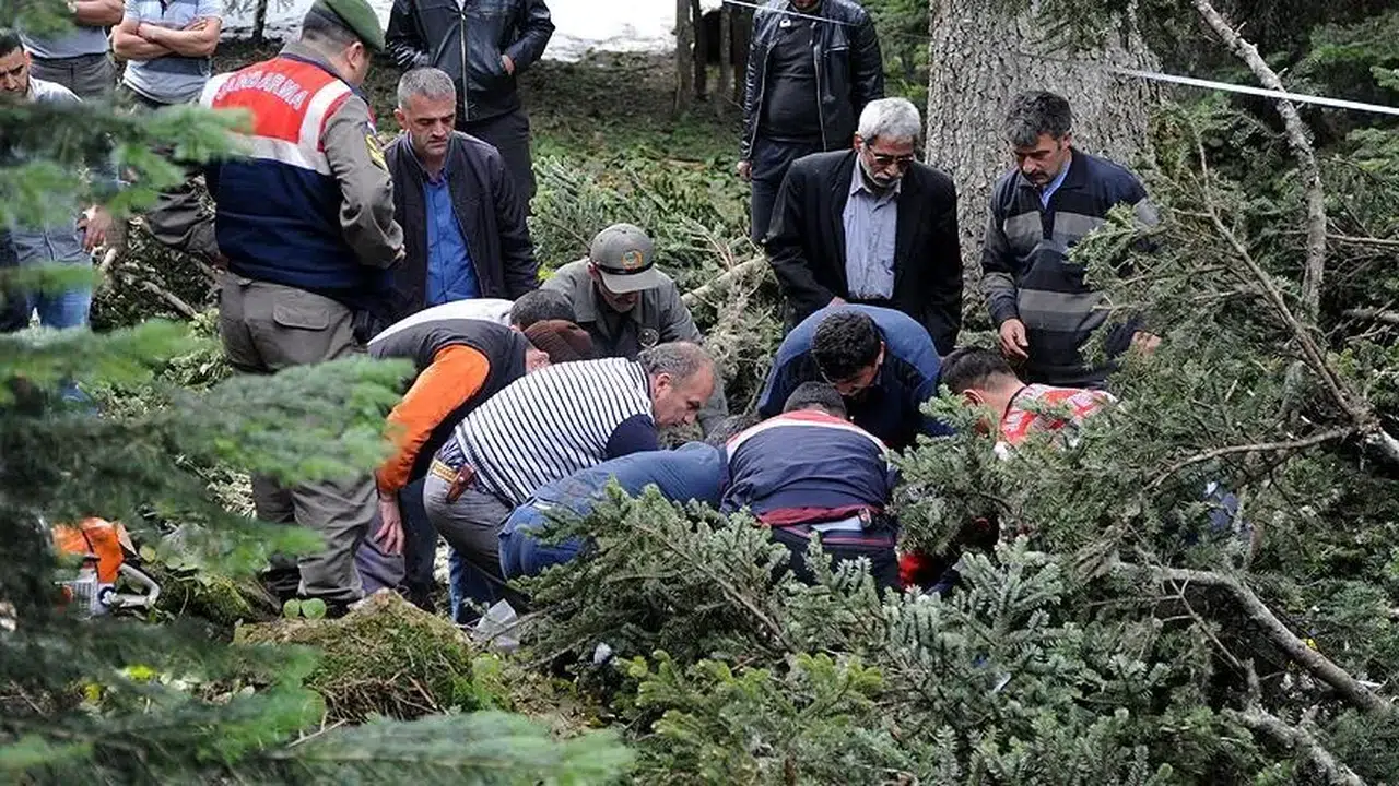 Düzce’de kestiği ağacın altında kalan kişi öldü
