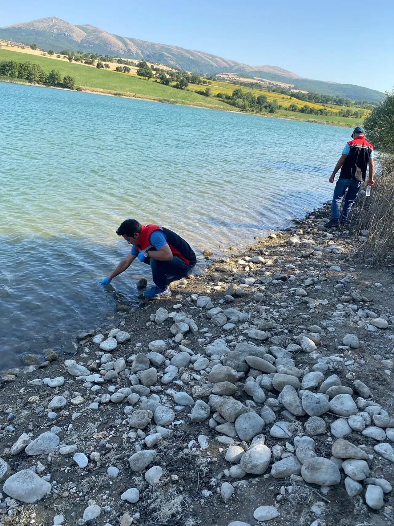 Balık Ölümleri İncelemede
