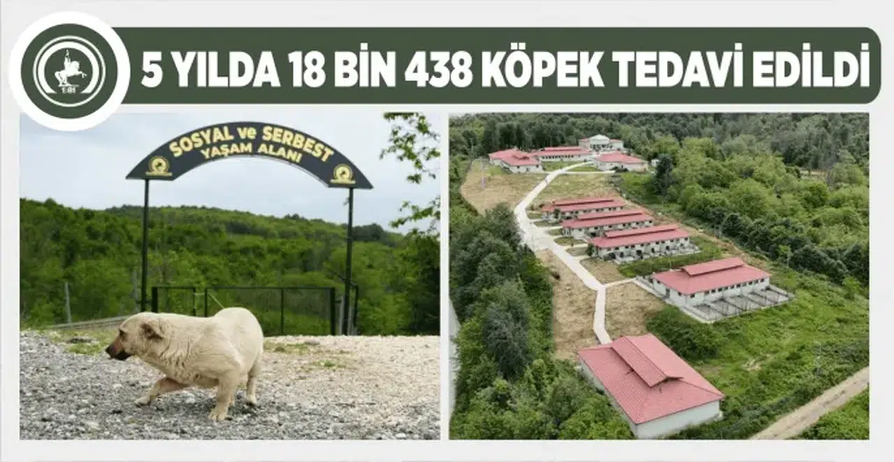 Düzce'de Kurtsuyu Hayvan Barınağı ve Doğal Yaşam Alanı'nın Genişletme Projesi Başlıyor!