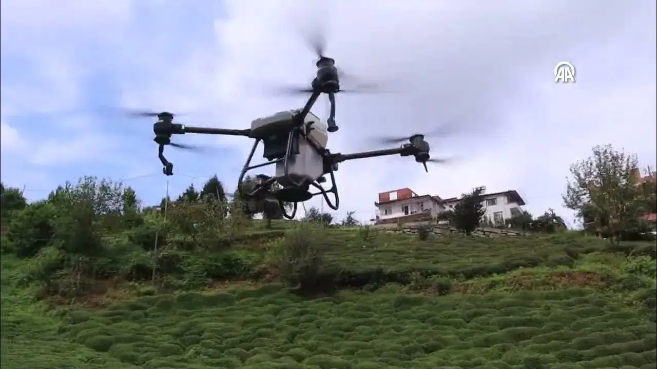 Rizeli vatandaş çay hasadı yapan akrabasına dronla su taşıdı