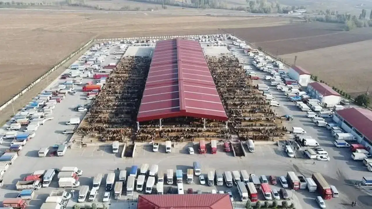 Hayvan Hareketleri Serbest, Pazarlar Kapalı