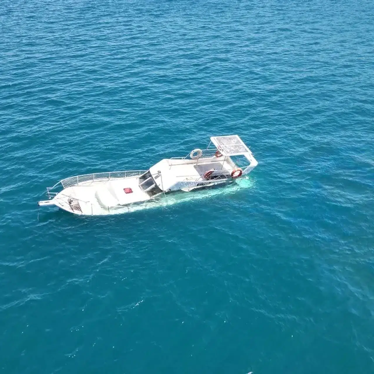 Datça'da sahilde dinlenen fok için bölgeye güvenlik şeridi çekildi