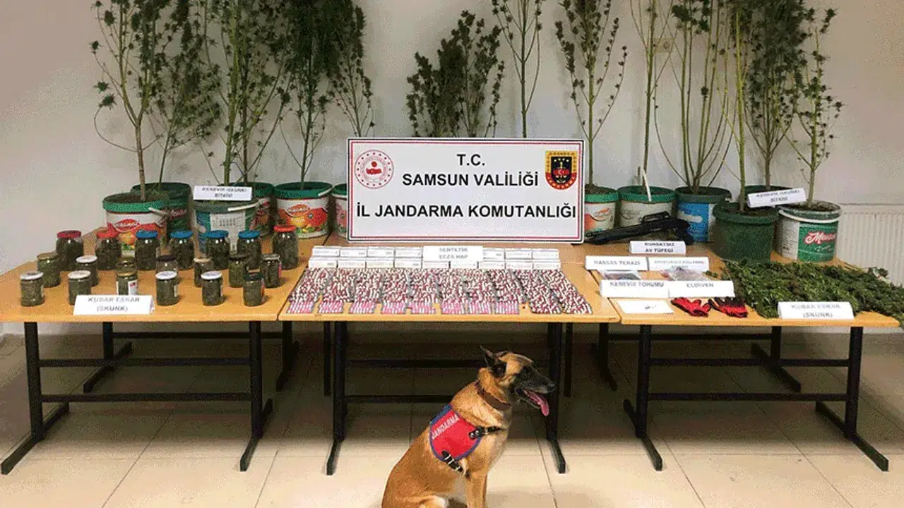 Samsun'da düzenlenen uyuşturucu operasyonunda 1 kişi gözaltına alındı