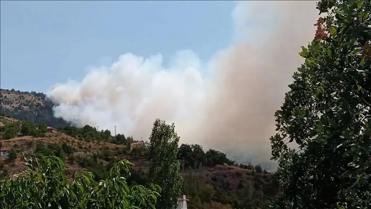 Malatya'daki orman yangınına müdahale ediliyor