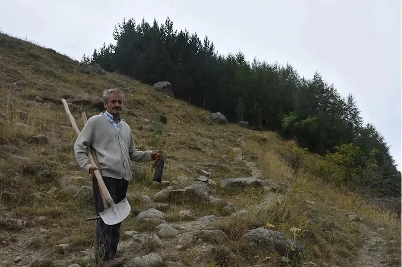 Gümüşhane'deki köyünü 40 yılda 50 bini aşkın fidanla buluşturdu