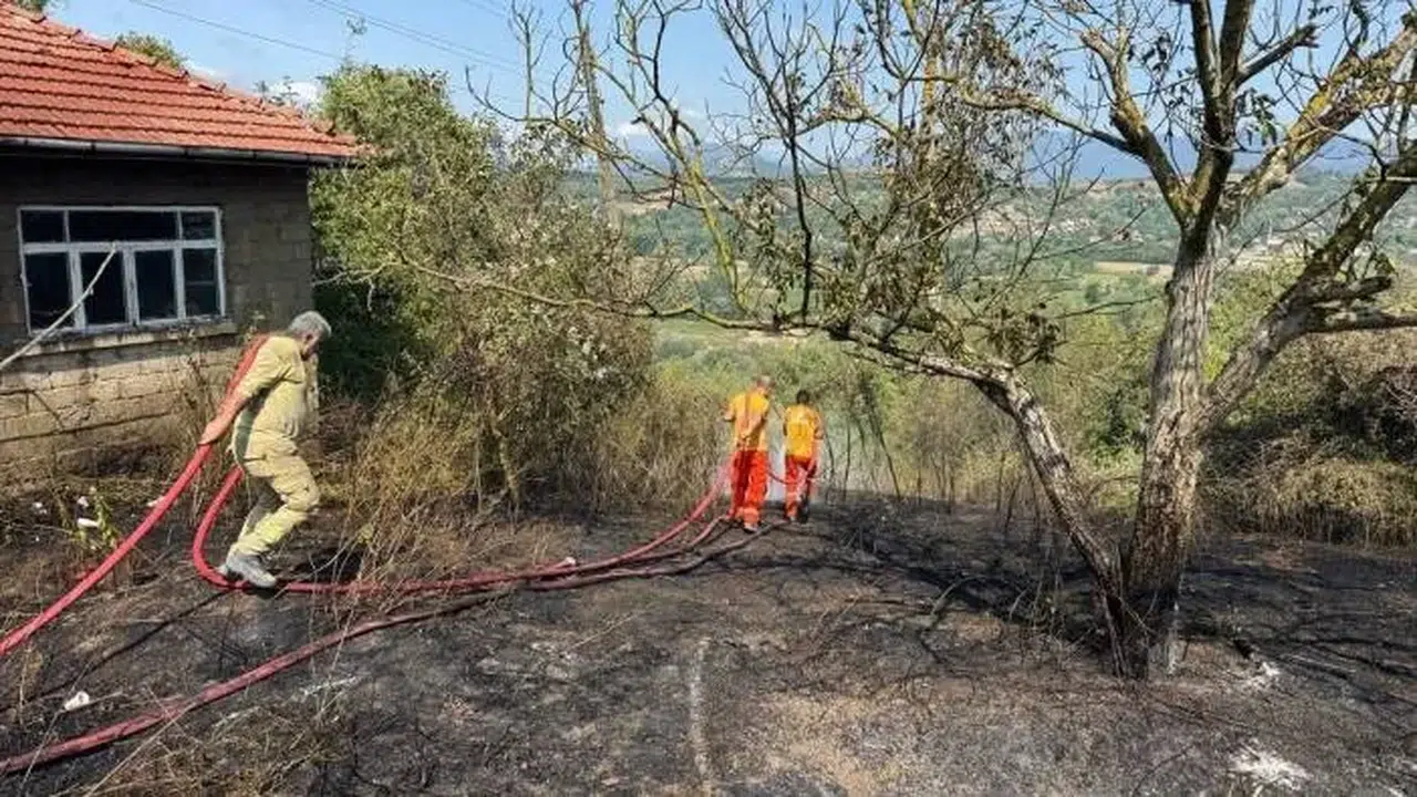 Bartın'da çıkan anız yangını ağaçlık alana sıçradı