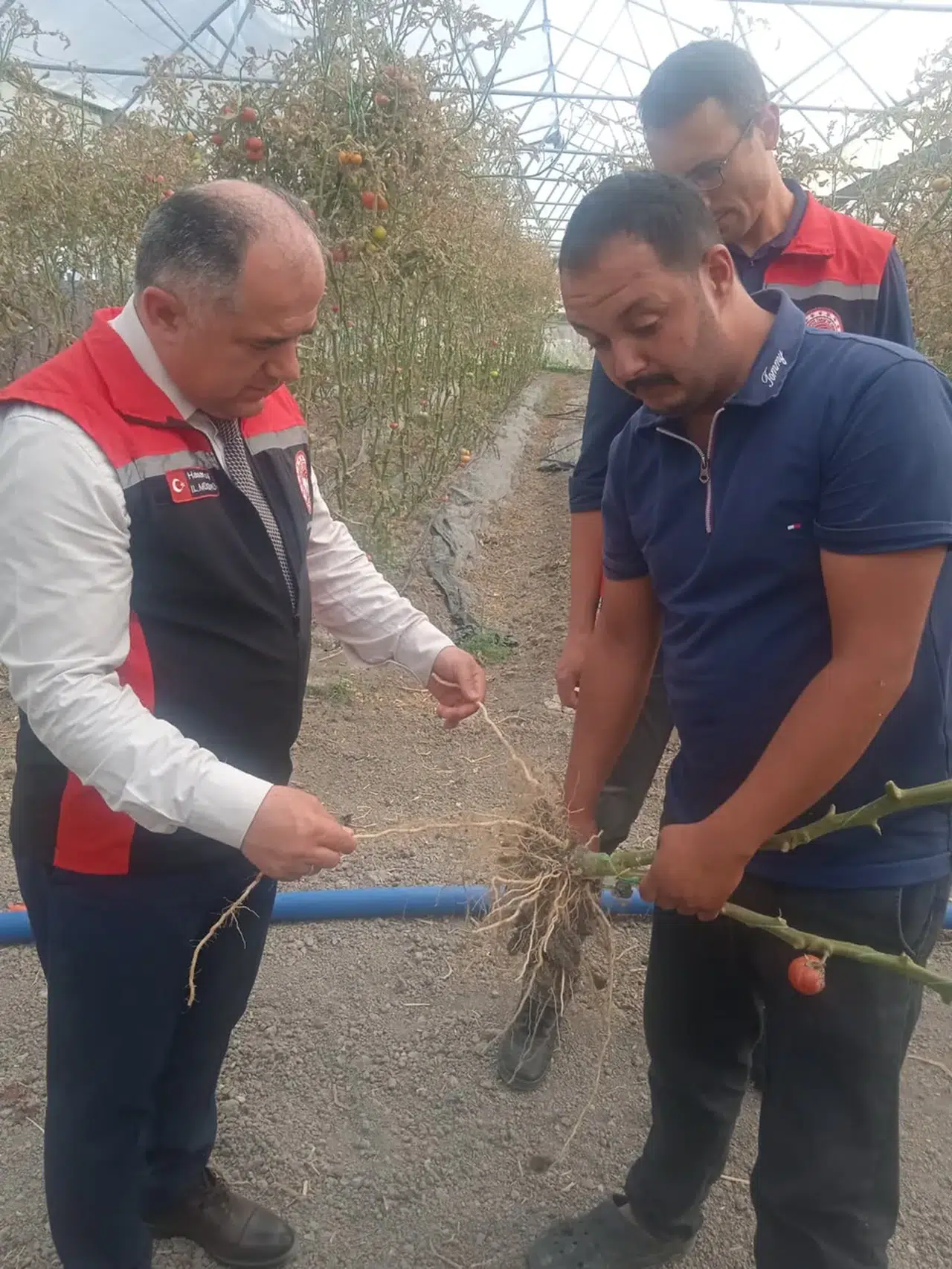 Çiftçilerin Seralarını Ziyaret Etti