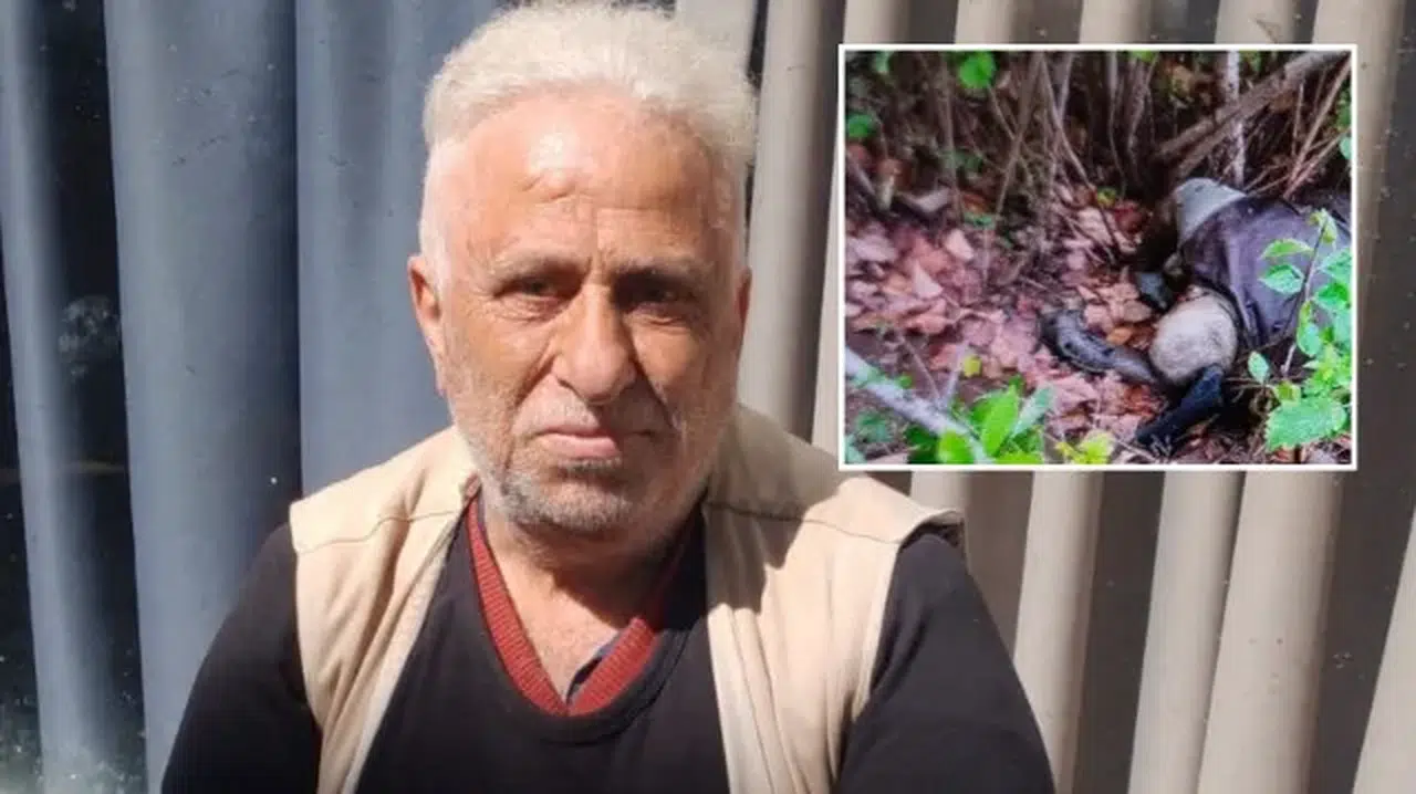 Trabzon'da 10 gündür kayıp olan kişi fındık bahçesinde ölü bulundu
