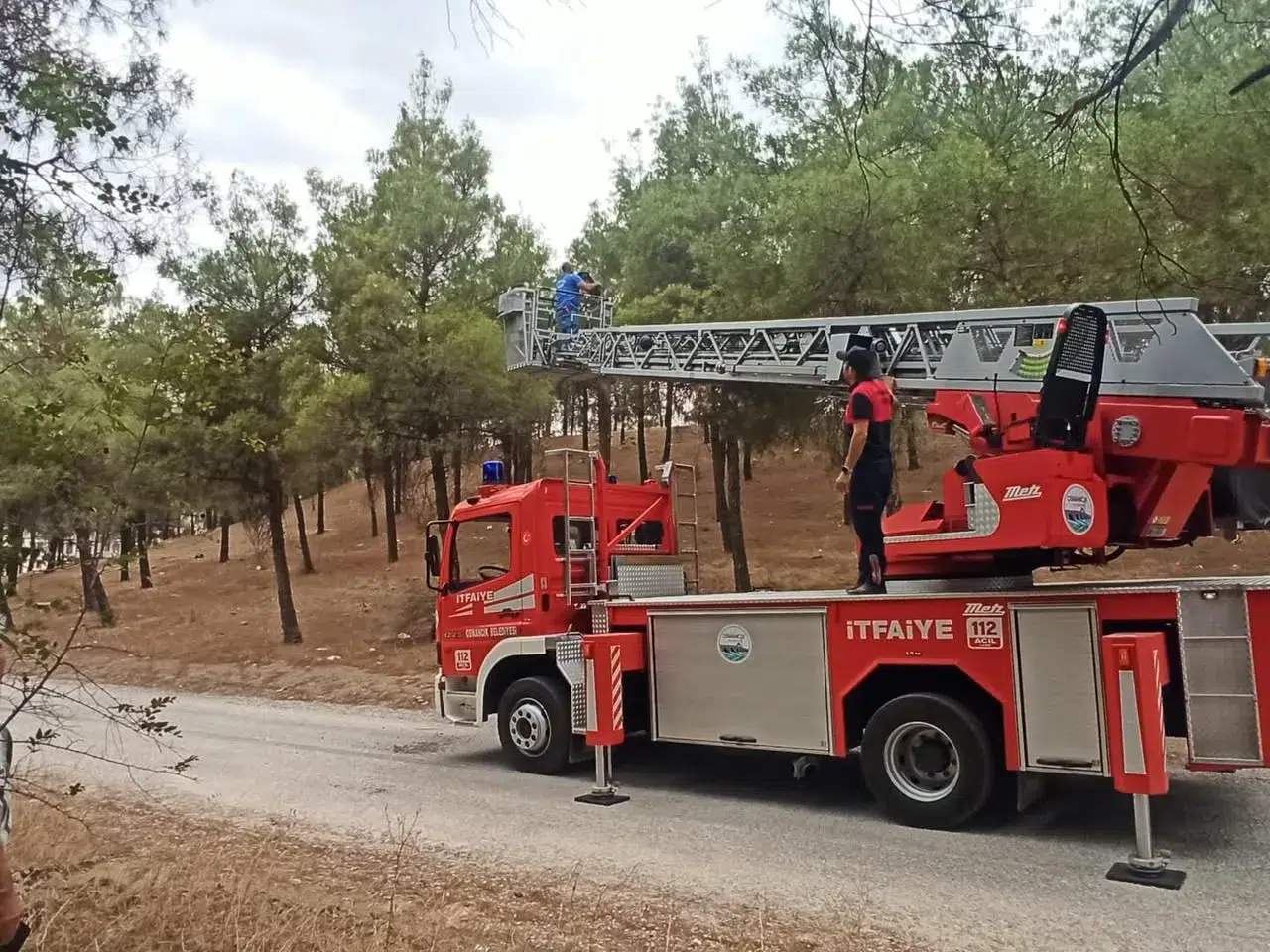 Osmancık Kent Ormanı Yolu Güneş Enerjisiyle Aydınlatıldı