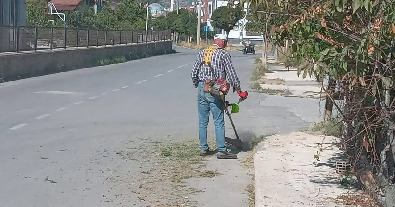 Osmancık'ta Park ve Caddelerde Yaz Bakımı Devam Ediyor