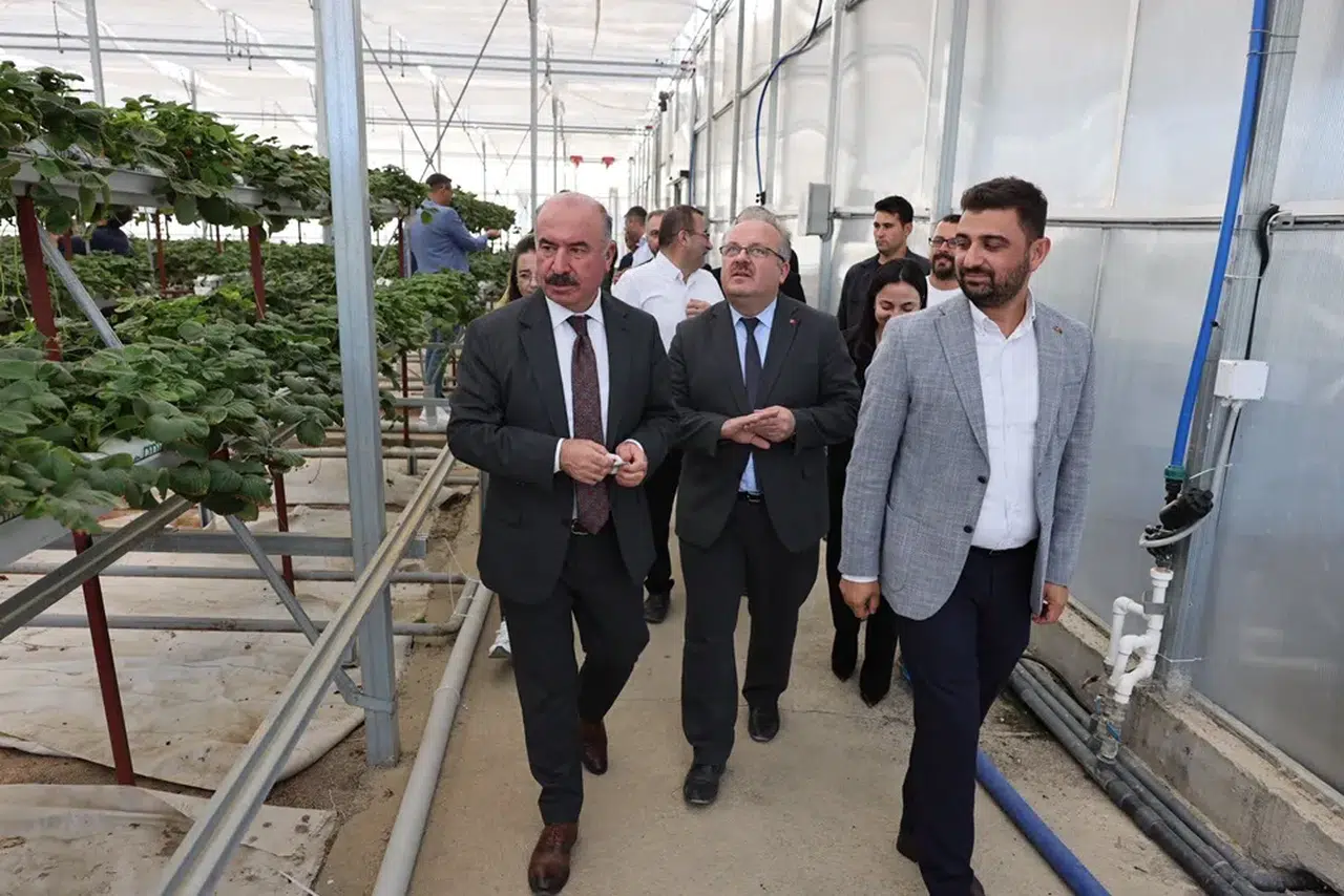 Tıbbi Aromatik Bitki Tesisi’nde İnceleme
