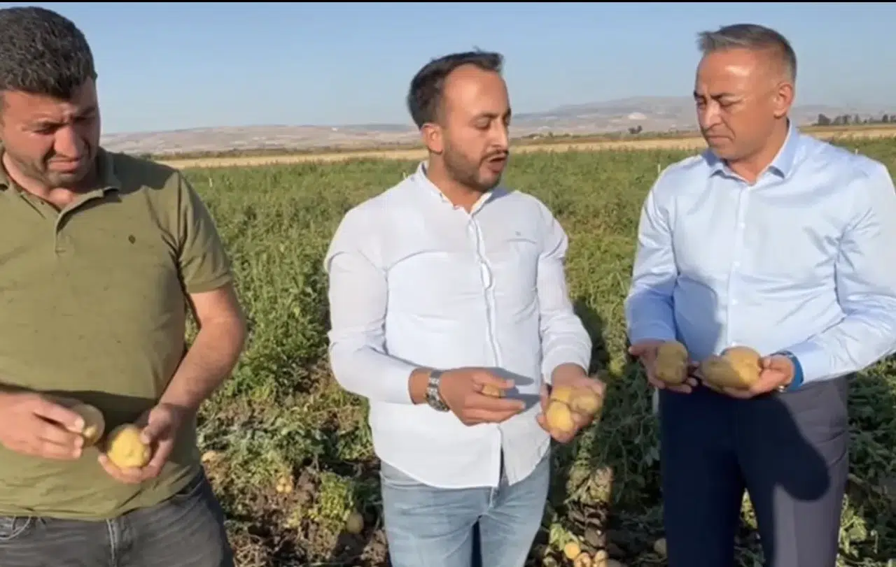 Patates Üreticisinden İsyan
