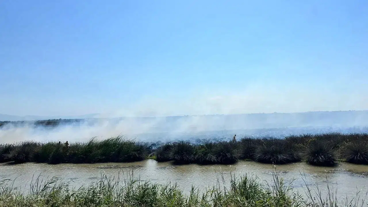 Kızılırmak Deltası Kuş Cenneti'nde yangın
