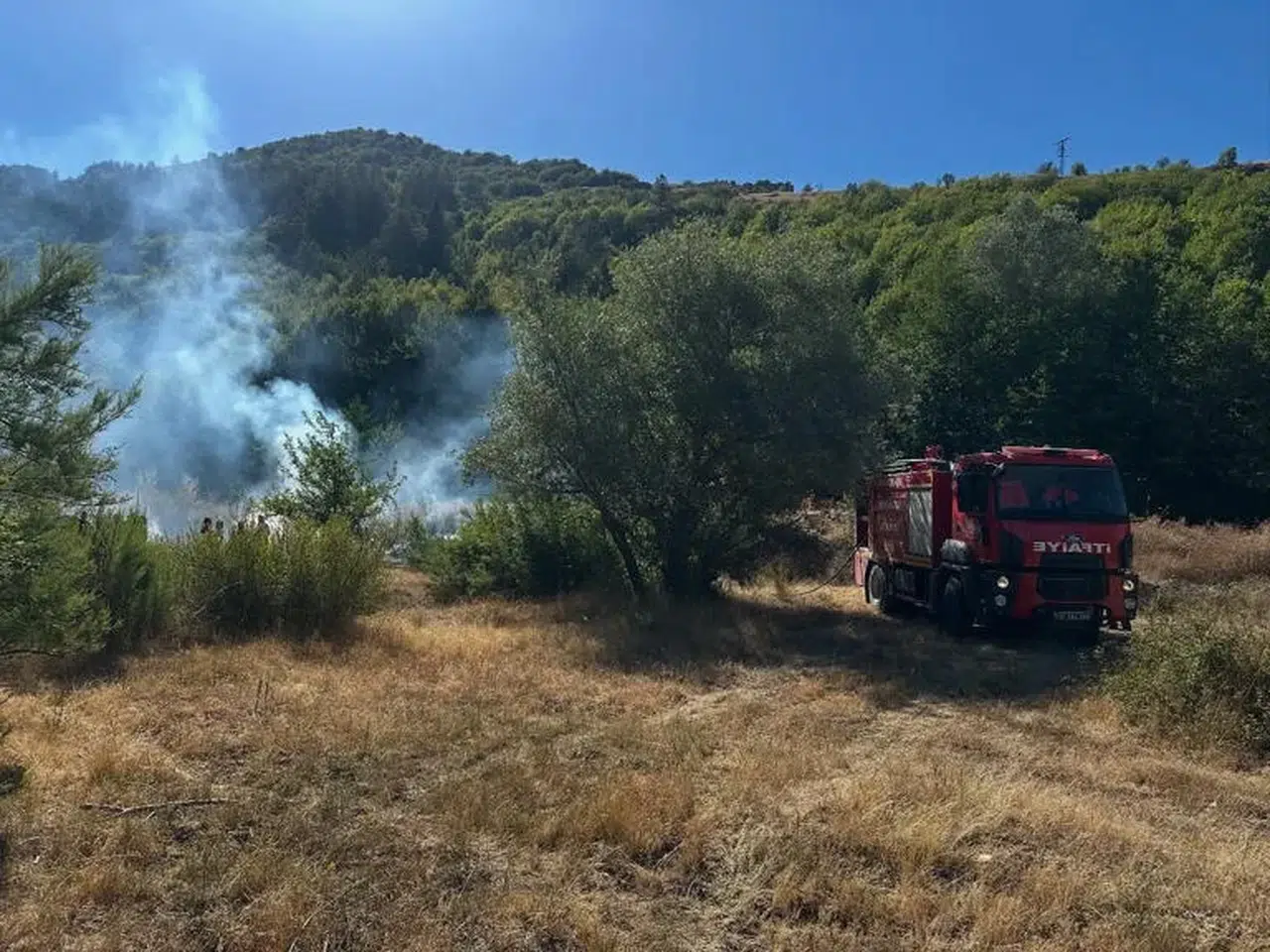 Kastamonu'da çıkan orman yangını söndürüldü