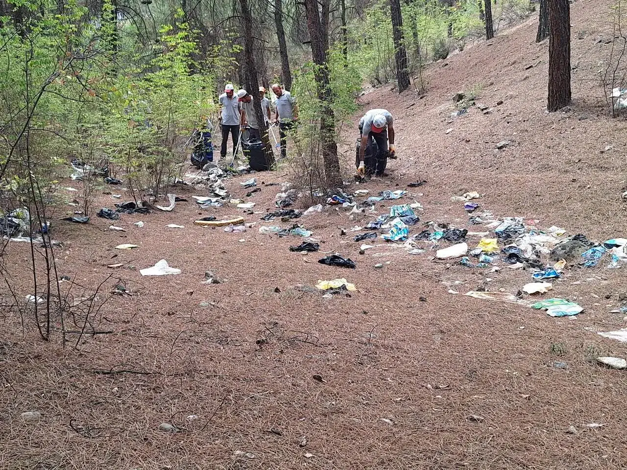 Düztepe Mesire Alanında Kapsamlı Temizlik