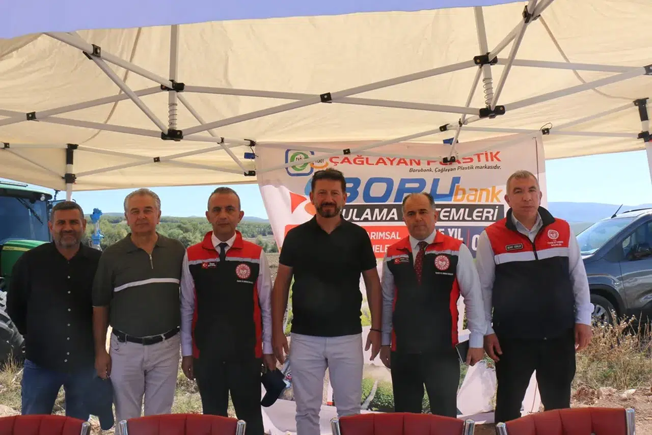 Ayçiçeği İçin Hasat Vakti