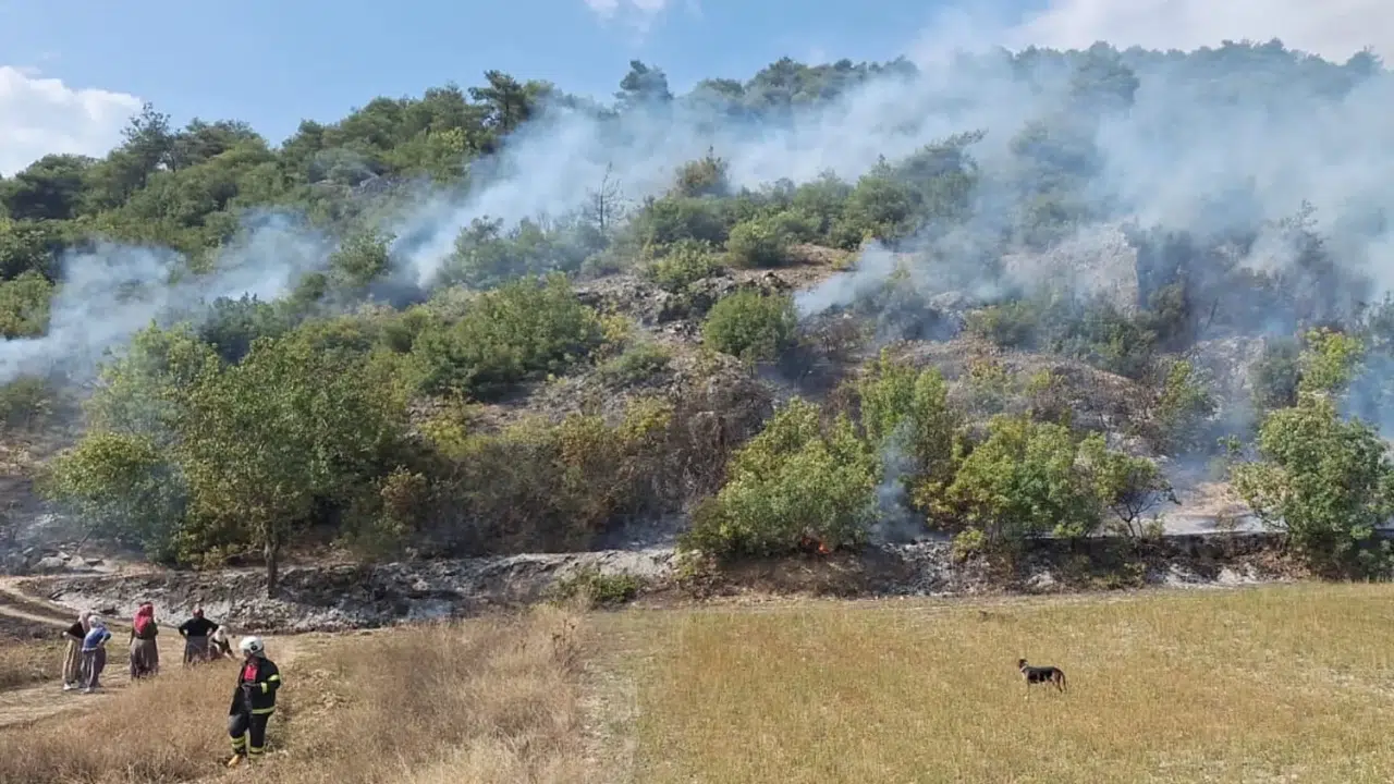 Tokat'ta ormanlık alanda çıkan yangın söndürüldü