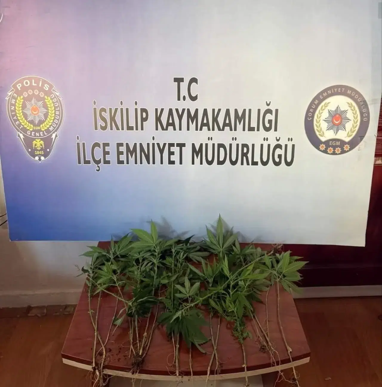 Çorum'da Polisten Zehir Baskını