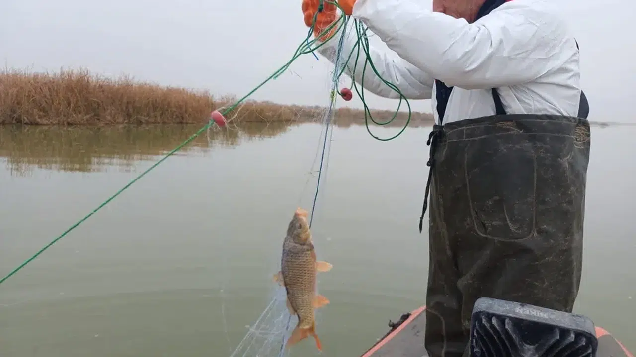 Çorum Barajlarında Doğal Yaşama Sıkı Koruma