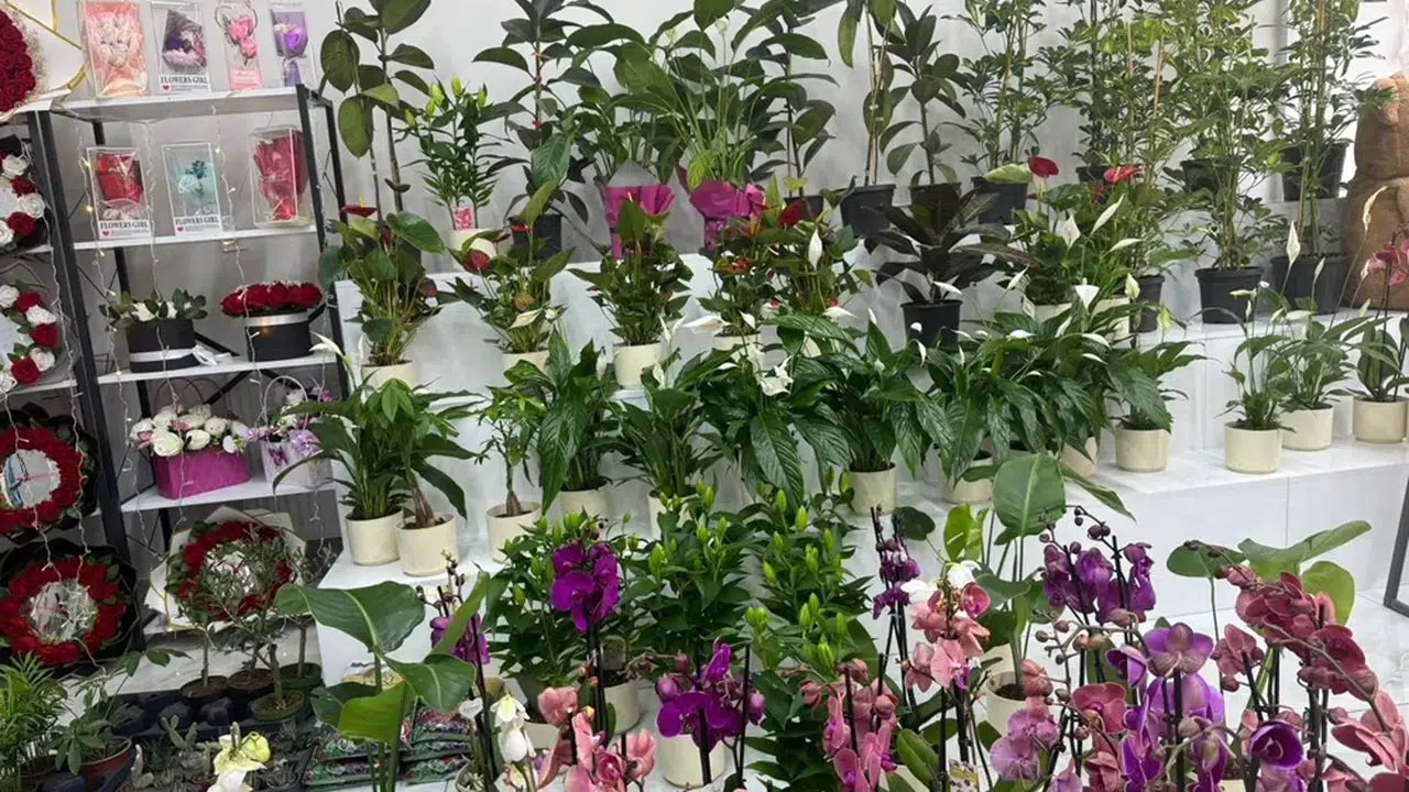 Çiçeklerde Sezon Hareketliliği