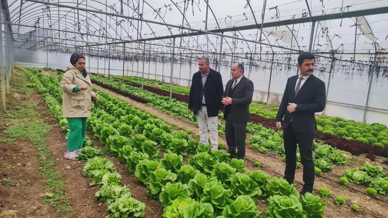 Laçin’de Modern Tarım Hamlesi