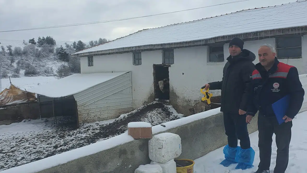 Hayvancılığın Röntgeni Çekiliyor