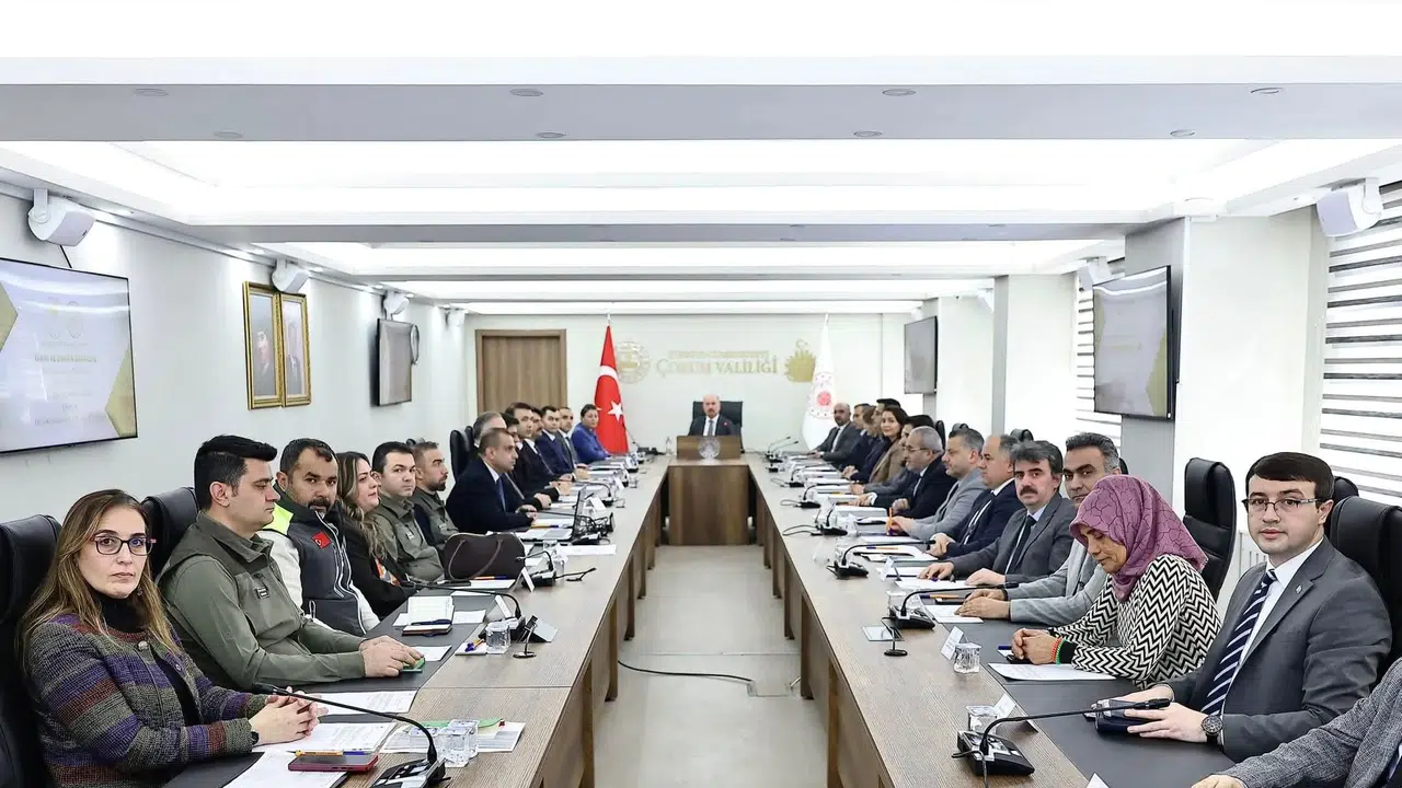 Sokak Hayvanları İçin Yol Haritası