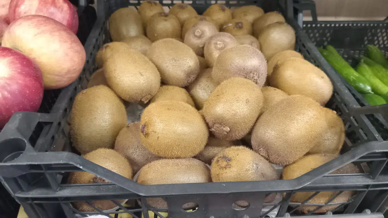 Bağışıklığın Doğal Kalkanı