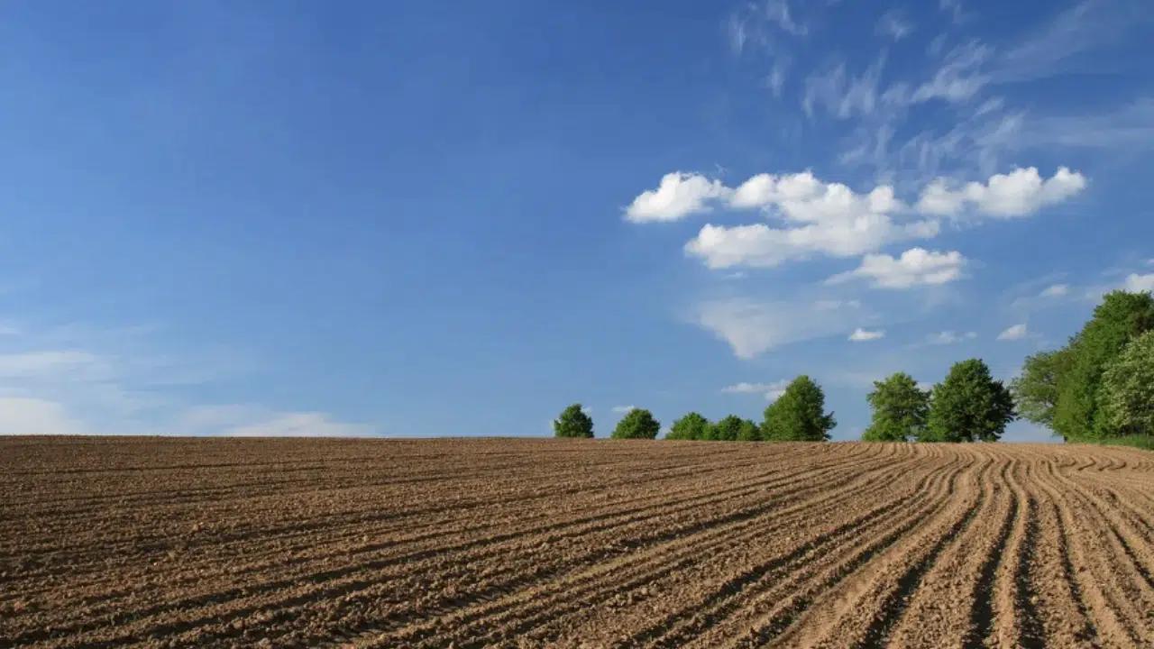 En çok tercih edilen gayrimenkul türü belli oldu