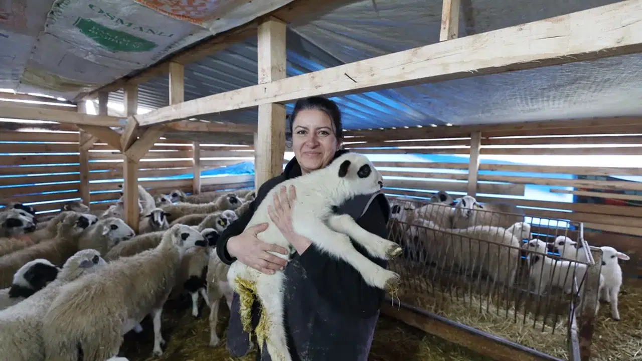 Annesinin O Hediyesi Hayatının Dönüm Noktası Oldu