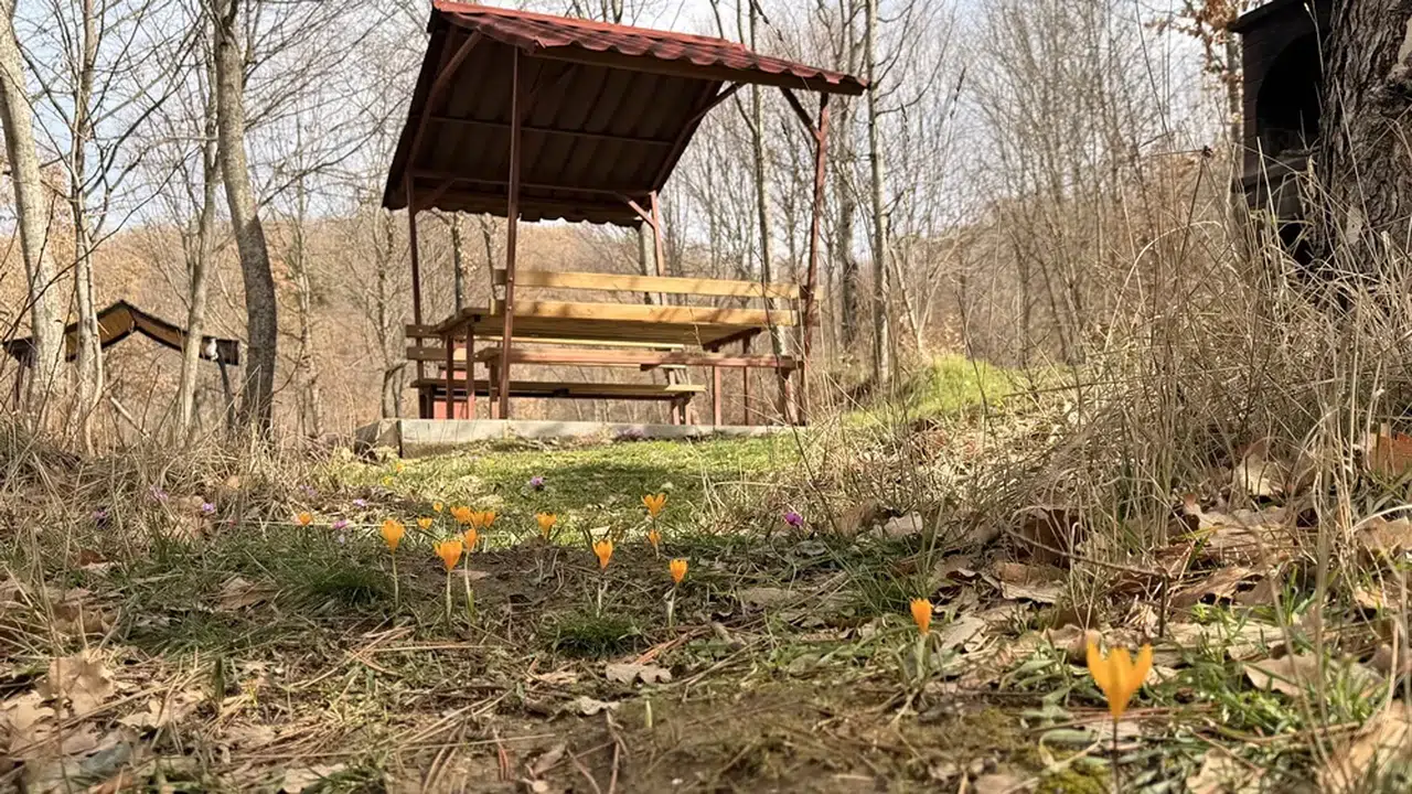 Çorum’un Saklı Cenneti Renklere Büründü