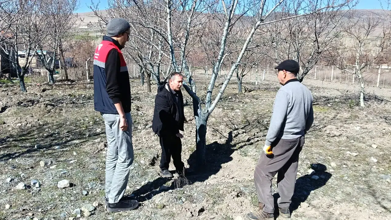 Badem Bahçelerine Mumya Monilya Tehdidi