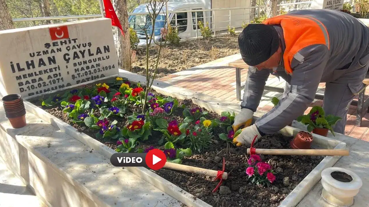 Şehit Mezarlarında Bakım ve Onarım Çalışması