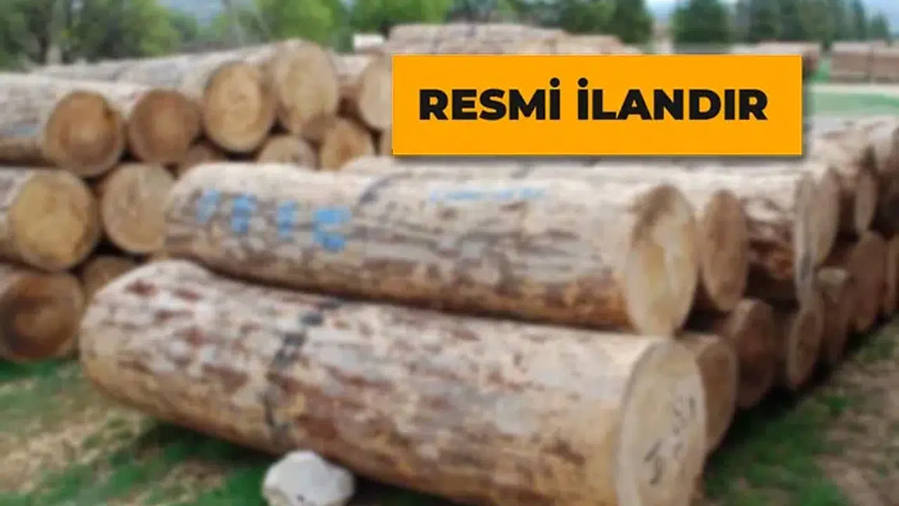 Orman Emvali İstifleme Hizmeti Alınacak