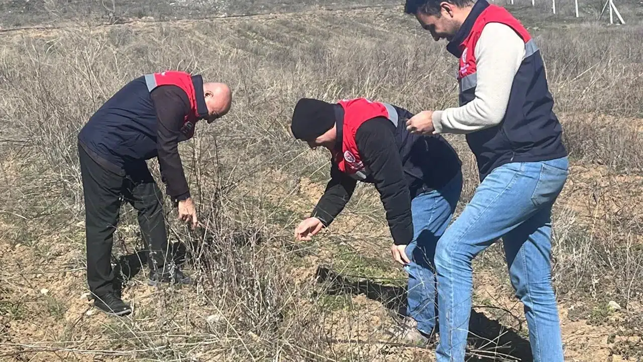 Aronya Üretimi Destekleniyor