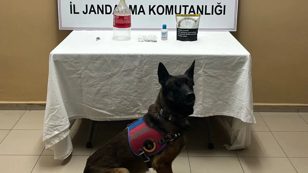 Jandarma Kapıyı Çalınca Ortaya Çıktı